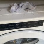 Lint goes in trash can 2 ft away from dryer